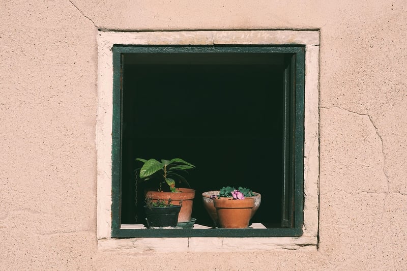 Culture Insights